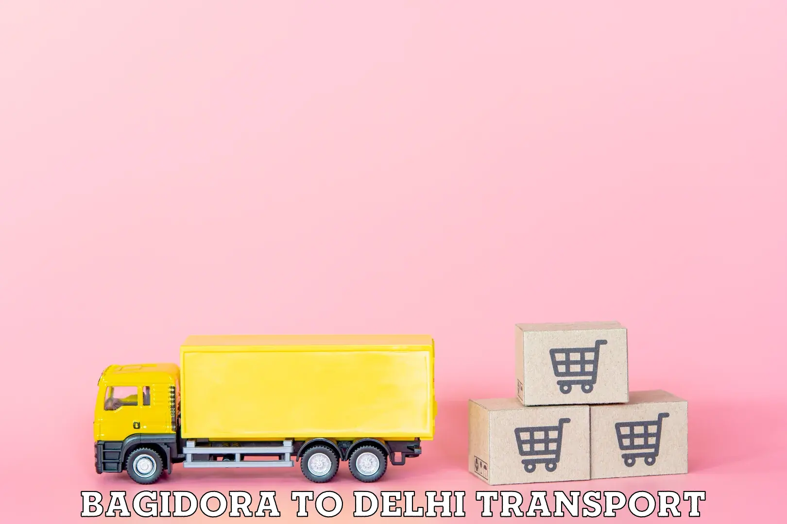 Delivery service Bagidora to NIT Delhi