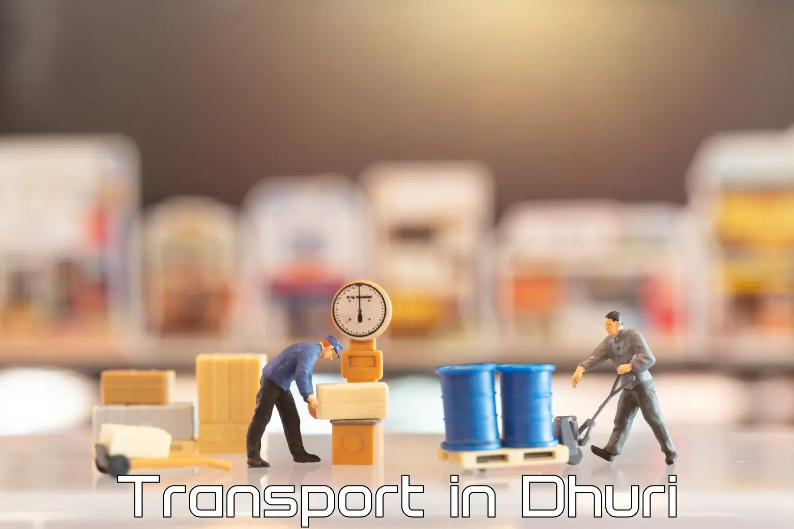 Domestic transport services in Dhuri
